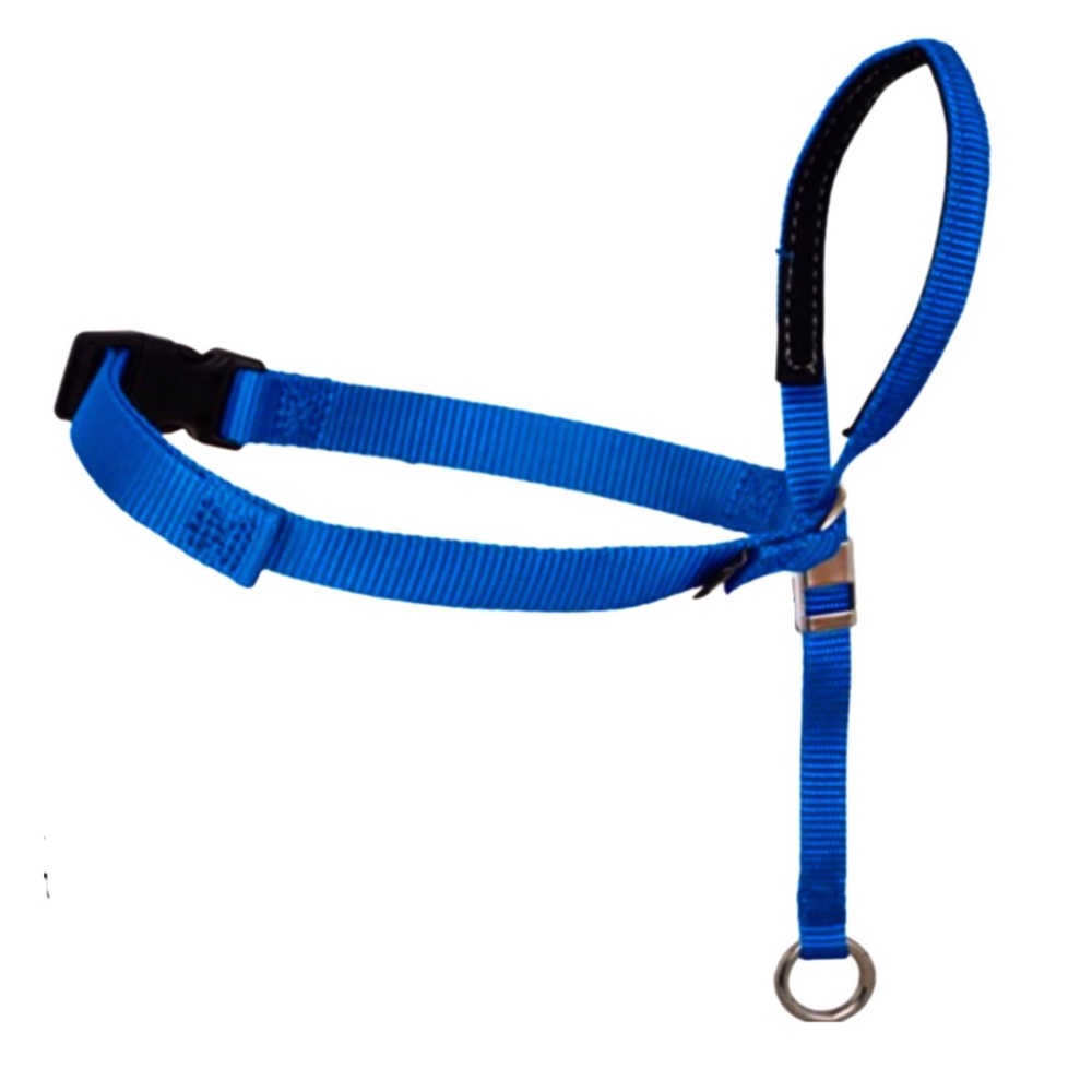 Gentle Leader Head Collar Blue Size Large ,Medium, Small